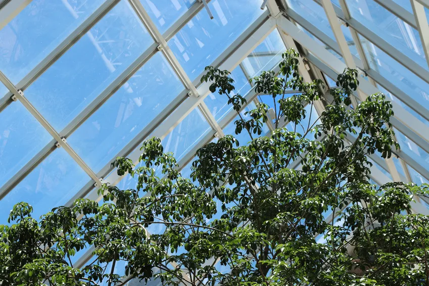 ISO 3-fach mit Wärmeschutzglas und Drahtglas